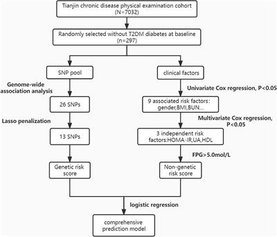 An early prediction model for type 2 diabetes mellitus based on genetic variants and nongenetic risk factors in a Han Chinese cohort